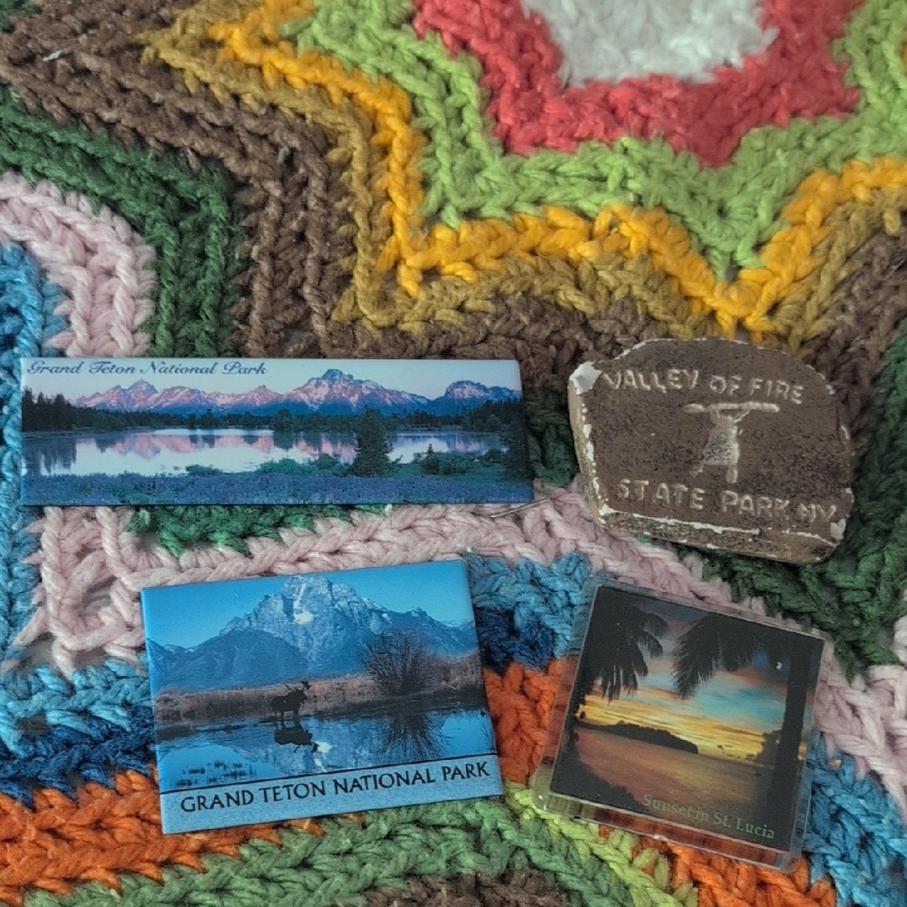 Vintage Y2K Souvenir Nature Magnet Lot